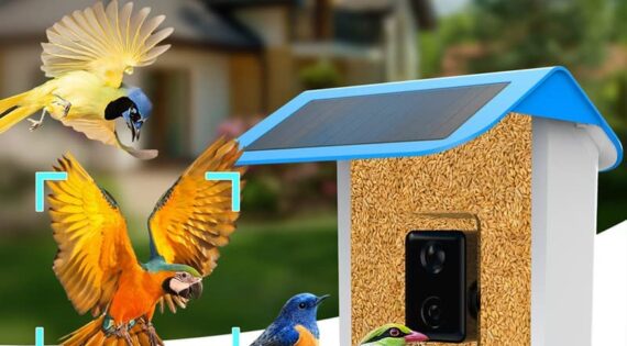 Smart Bird Feeder Camera : Amazing Auto Capture  AI Identification