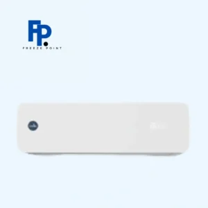 Enviro 12 ICE BERG 1-Ton Inverter Split AC with WiFi